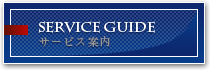 Service Guide